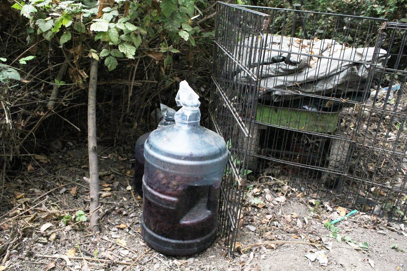 Samoa & V Street Clean-Up